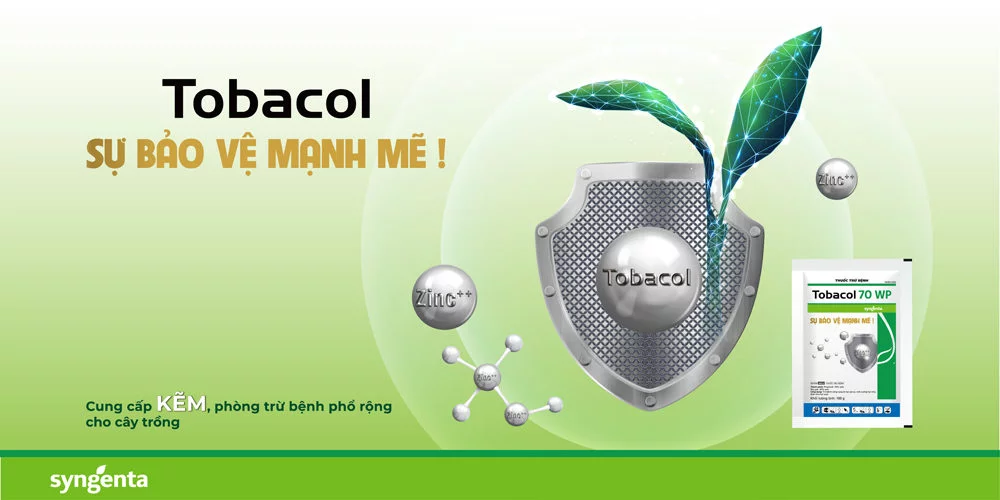 Syngenta Việt Nam ra mắt sản phẩm Tobacol 70WP - Sự bảo vệ mạnh mẽ