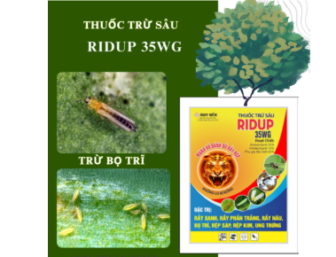 Top 2 Thuốc Trừ Sâu Hiệu Quả – Trị Rầy, Bọ Trĩ Cực Mạnh