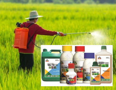 Thuốc Bảo Vệ Thực Vật Là Gì? Công Dụng, Phân Loại Và Cách Sử Dụng An Toàn