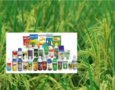 Thuốc Trừ Sâu – Phân Loại, Công Dụng & Hướng Dẫn Sử Dụng An Toàn