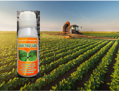 Chất phụ trợ nông nghiệp – Tăng hiệu quả thuốc & bảo vệ cây trồng toàn diện