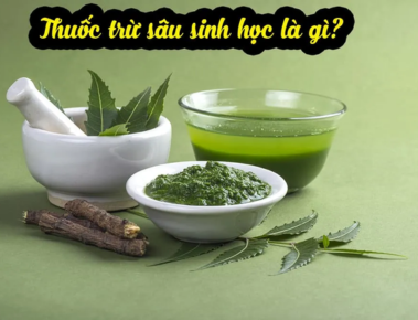 Thuốc trừ sâu thế hệ mới – An toàn, sinh học và bền vững